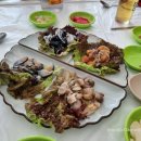 더꼬치다군산 | 강원 고성 가진항 임포수달 활어 횟집