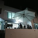 거제비타민씨 이미지