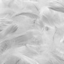 그린세탁크리닝 이미지