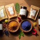 백유빈 천연염색헤나킹 | 흰머리 자연염색, 화학 없이도 완벽하게 가리는 법