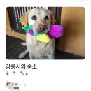 설희민박 이미지