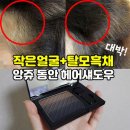 (추가할인)새치.탈모 감쪽같이커버해줍니다 이미지
