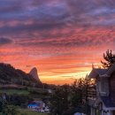 대피소 울릉 이미지