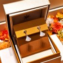 청산 | 불가리 디바스드림 드롭 이어링 자개 귀걸이 인상 전 위시템 청산 후기