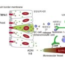 소화기병연구회