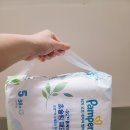 팸퍼스 2026 터치 오브 네이처 썸머팬티 여름기저귀 추천 후기