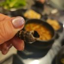 광주 수완지구 우돈가 숯불화로구이에서 LA갈비 먹은 솔직후기 주차정보