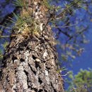 아이원안경 이미지