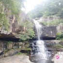 수안보관광펜션 이미지