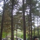 국립유명산자연휴양림 이미지