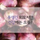 당뇨와 변비에 최고 좋은 '맛나는 돼지감자 요리법' 이미지