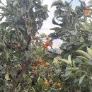 김정우 농장 이미지