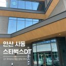 사동 | 안산 사동 스타벅스 DT점 오픈 방문 후기 주차 정보