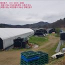 문의초등학교도원분교장 이미지