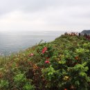 중화동교회 이미지