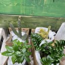 주식회사 거양 이미지