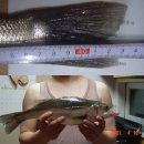 칠포농장 이미지