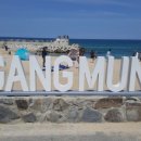 농업회사법인 (주) 대관령 이미지