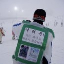 유월이일 이미지