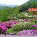푸른솔농원 티스토리