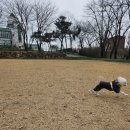 드린겐 애견테마파크 이미지