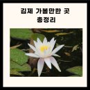 김제 가볼만한 김제 가볼만한곳 김제 가볼만한곳 베스트10 이미지