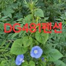강변특장 | DG481 펜션 가족 단체 숙소에서 5분 거리의 강변 산책로