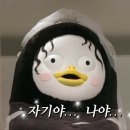 AI에게 🐧 학습시키기 이미지