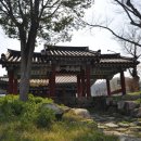 완도군립도서관 Daum카페