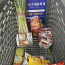 25년의 첫 일상기록