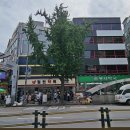 광장약국 이미지