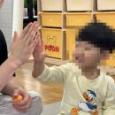 백의 태권도장 이미지