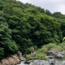 내를 건너서 숲으로 캠핑장 이미지