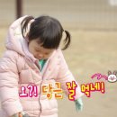 경완목장 이미지