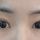 속눈썹빨 - 포항시 남구 | 속눈썹빨