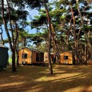 연곡사선 이미지