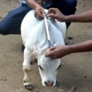 소보소농장 이미지