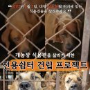 [의견수렴] 개농장 식용견을 차질없이 구하기 위해 플랜 A와 플랜 B를 동시에 진행하고자 하는데 정회원님들의 의견은 어떠신지요? 이미지