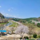 갈릴리펜션 | 신병교육가대 입소,15사단근처펜션 갈릴리 가든 맛집 갈릴리펜션에서 묵었어요.