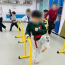 태권도 한국체육관 이미지