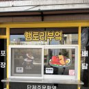 제천 분식 맛집 김밥 포장 강추 햄토리 부엌 후기