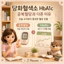 당화혈색소 HbA1c 높으면? 공복혈당·식후혈당과 차이 쉽게 정리 이미지