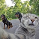 앤디앤라라홈 이미지