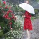 Sergey Grischuk - Rain Rain 이미지