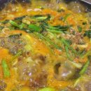 부강농장 | 생방송투데이 3771회 방송정보 : 고창여행 메기매운탕 치킨 한강멍때리기대회