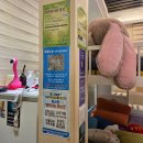 지문으로알아보는기질과진로 | 안양 지문 진로적성검사 본질의숲 지문학 기질검사 커플상담