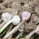 의성농산 이미지