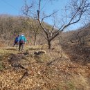 지업농장 이미지