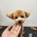 꾸야미용실