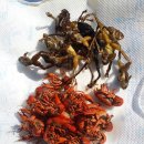 반갑소농장 이미지